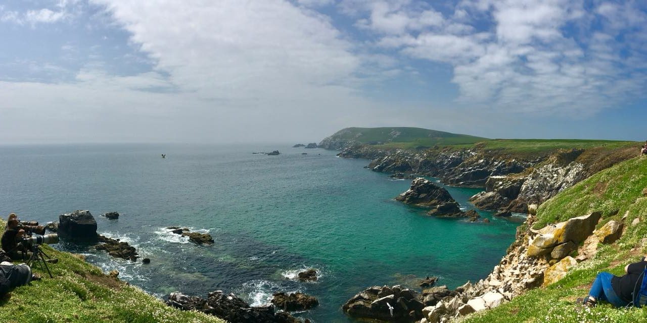 Saltee Islands with Palmerstown Camera Club | NewsGroup