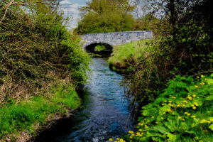 Camac River Bridge Postcard