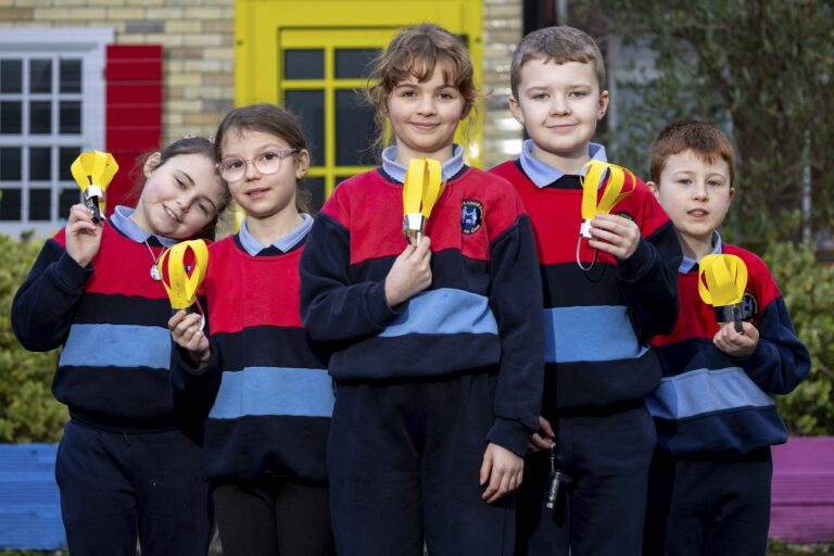 green schools tallaght